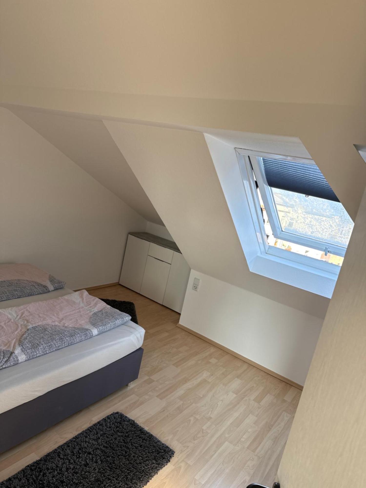 Kuschelige Dachgeschosswohnung Am Clarapark Leipzig Buitenkant foto